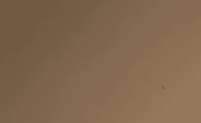 Untitled.webp
