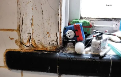 toys.jpg  sigg.webp
