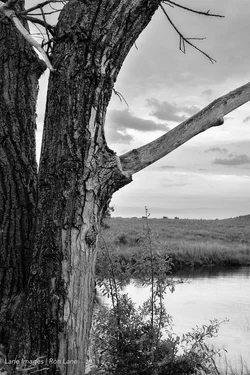 WitchitaWildlifeRefuge-118-Edit.webp