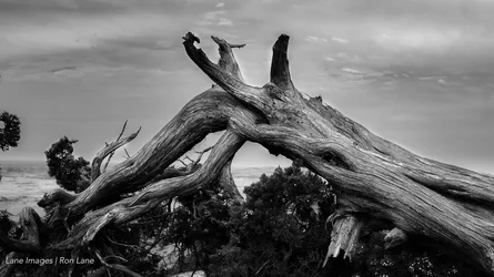 WitchitaWildlifeRefuge-214-Edit.webp