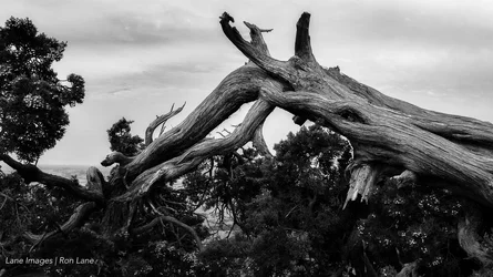 WitchitaWildlifeRefuge-215-Edit.webp