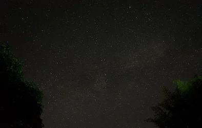 11111.webp