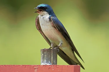 K1600_IMG_9850.webp