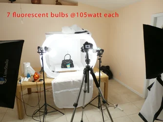 lights.webp