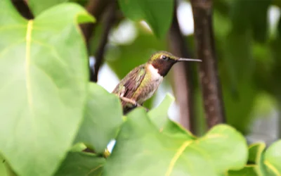 DSC_8191.webp