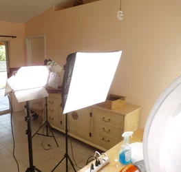 LED1.webp