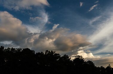 $Clouds with Tree Silhouette 3.jpg