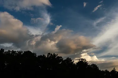 $Clouds with Tree Silhouette 3.webp