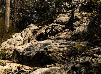 $Golden Rocks.webp