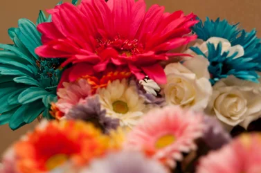 $_DSC6183.webp $_DSC6183.webp
