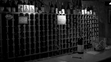$woods_and_waters_winery_part_2_of_4_by_samspade1941-d583yhl.webp