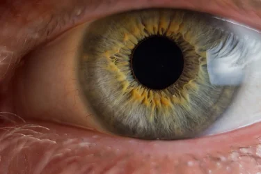 $eye_n.webp