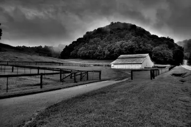 $IMG_1310_1_2_tonemapped.webp