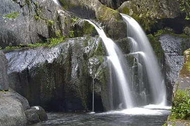 $_DSC0184-1.webp $_DSC0184-1.webp