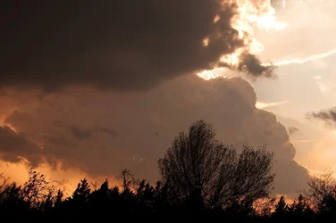 $calm_before_the_storm_by_samspade1941-d4a82de.webp