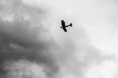 $CDJ_3071.webp