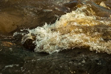 $Water-1.webp