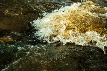 $Water-2.webp