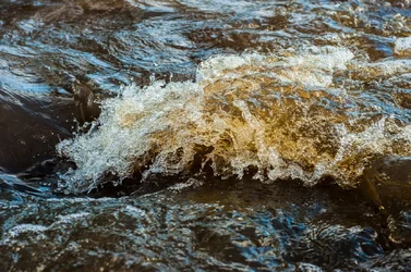 $Water-3.webp