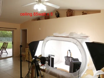 ceiling.webp
