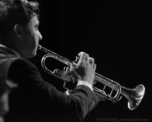 Trumpet-Player.webp