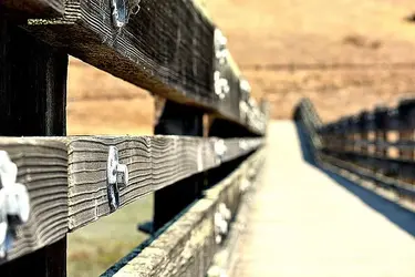 28684002153_c929f23974_z.webp