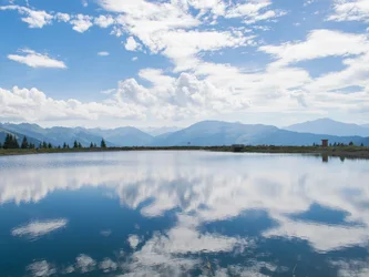 reflection (1 of 1).webp