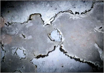 basement floor stain.jpg sig.webp