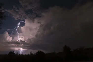 _DSC7900.webp