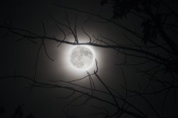 composite moon.jpg