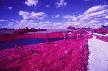 97230018.webp