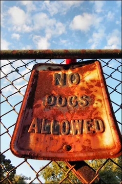 no dogs sig.webp