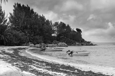 Seychelles-5.webp
