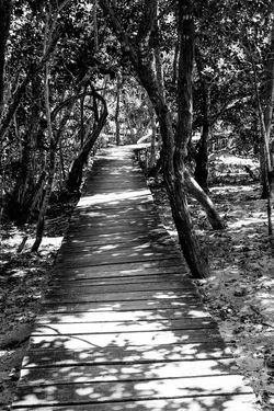 Seychelles-6.webp
