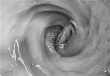 BW sig.webp