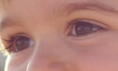 zeiss_55mm_Crop.webp