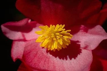 DSC_0356ee.webp