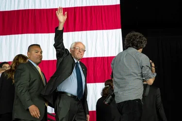 berniewave-.webp