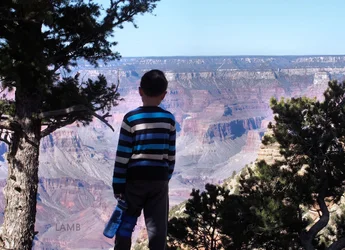 grand canyon boy sig.webp