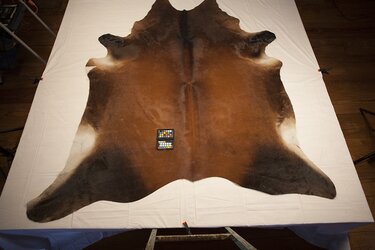 cowhide2.jpg