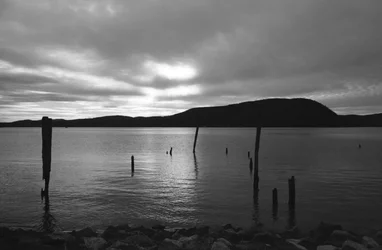 pier_26063323614_o.webp pier_26063323614_o.webp