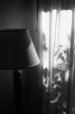 natural-light_28996317003_o.webp natural-light_28996317003_o.webp