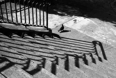 ra-bird-and-those-stairs_29125688054_o.webp ra-bird-and-those-stairs_29125688054_o.webp