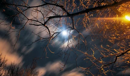 Moon lamp post.jpg sigg.webp