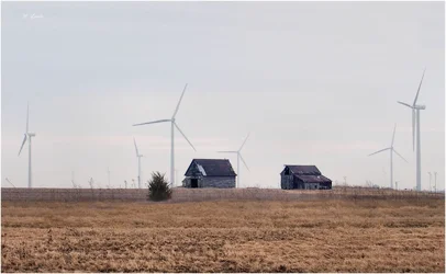 windmills.jpg sigg.webp
