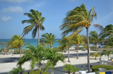 20150821 Landscape Vacation Aruba-006.webp
