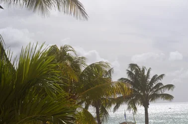 20150821 Landscape Vacation Aruba-010.webp