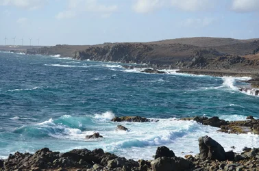 Aruba-0539.webp