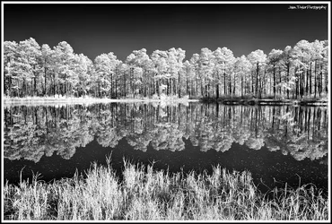 DSC_0440-3 bw sm.webp DSC_0440-3 bw sm.webp