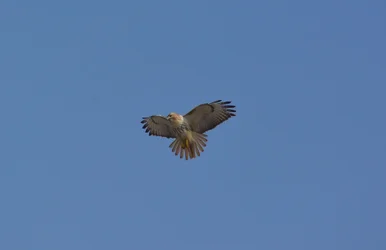 DSC_8860-2.webp